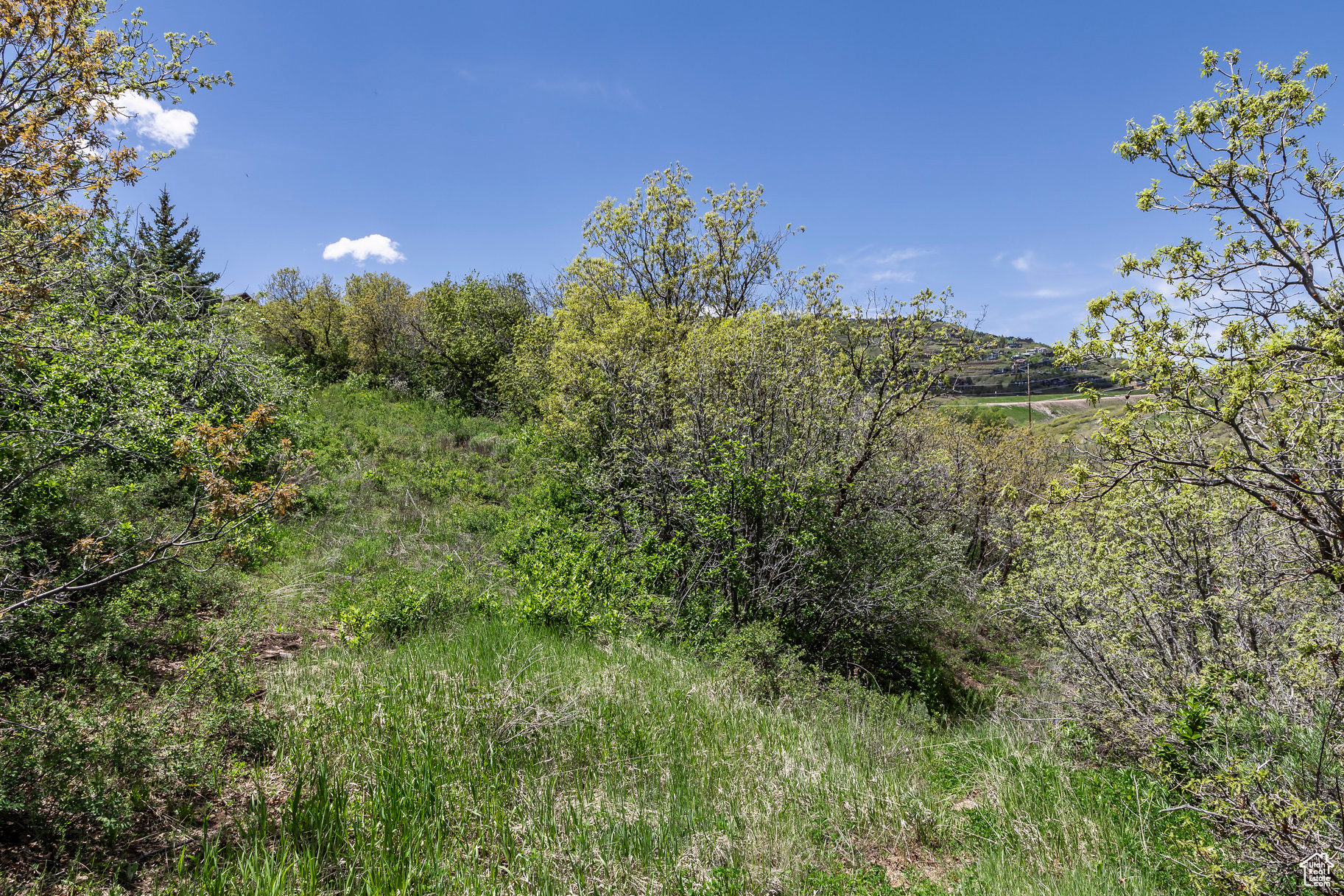1566 W Alpine Ave #7, Heber City, Utah image 10