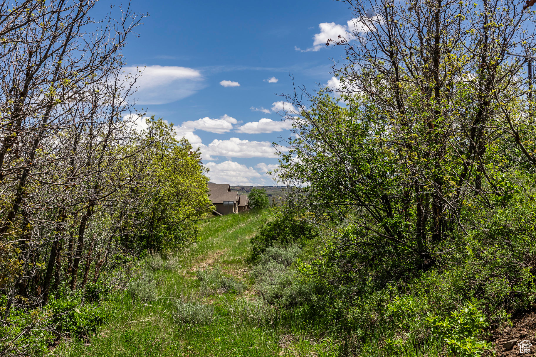 1566 W Alpine Ave #7, Heber City, Utah image 4