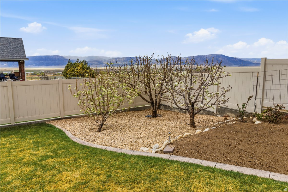 SHINGLE MILL SUBDIVISION - Residential