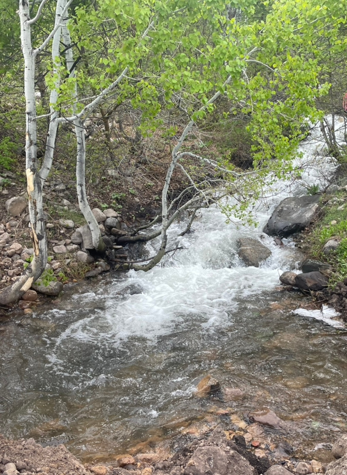 UPPER WHITTEMORE - Land