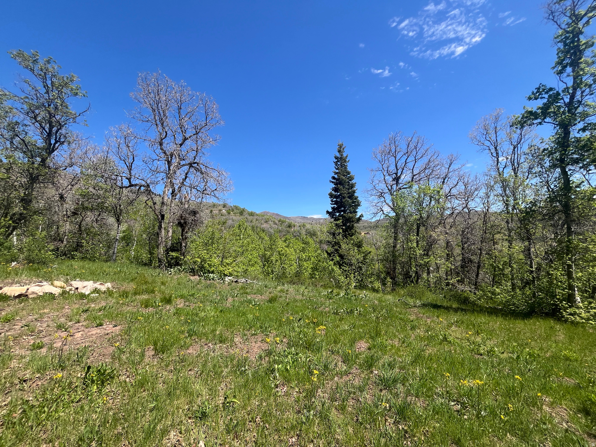 UPPER WHITTEMORE - Land