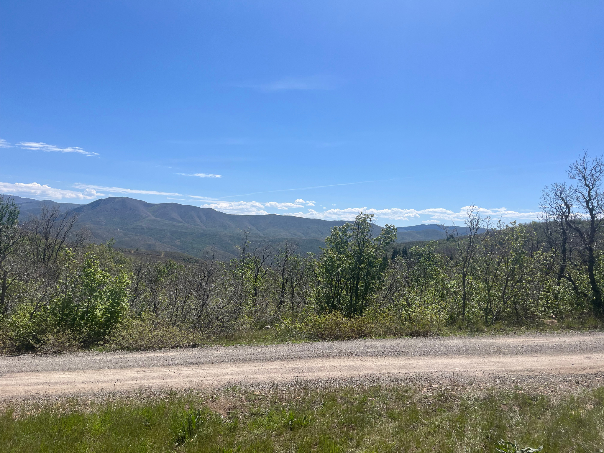 UPPER WHITTEMORE - Land