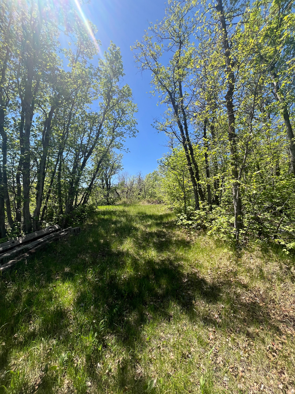 UPPER WHITTEMORE - Land