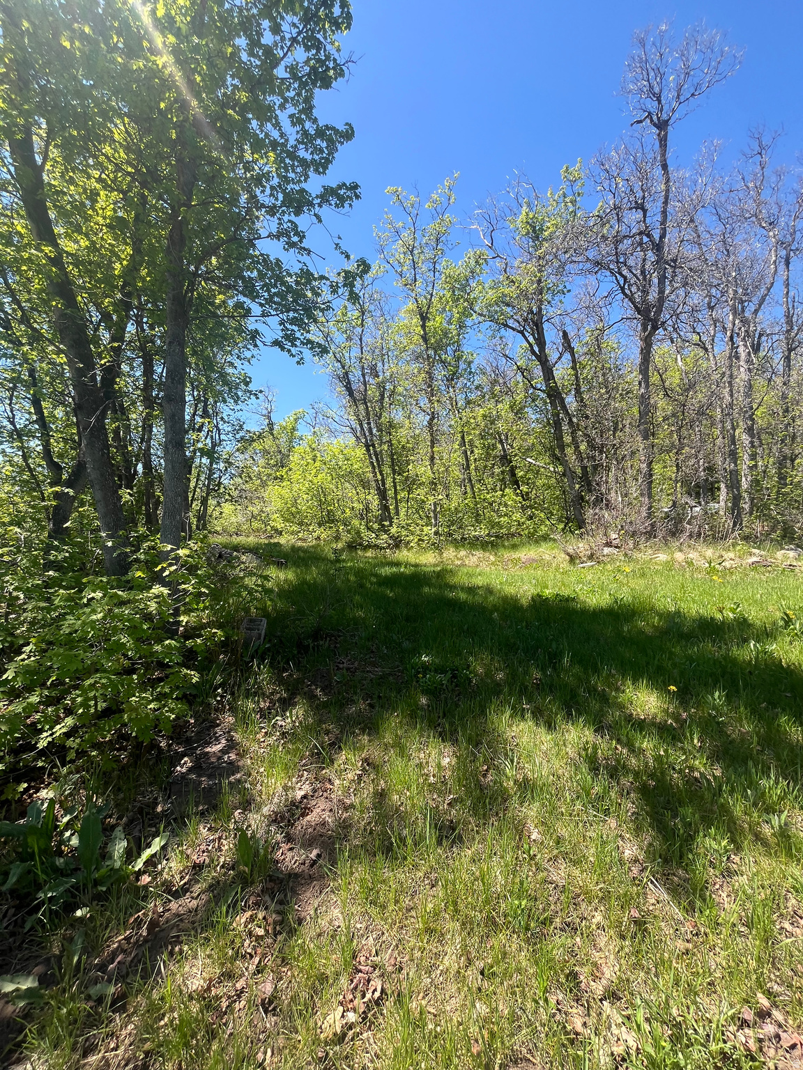 UPPER WHITTEMORE - Land