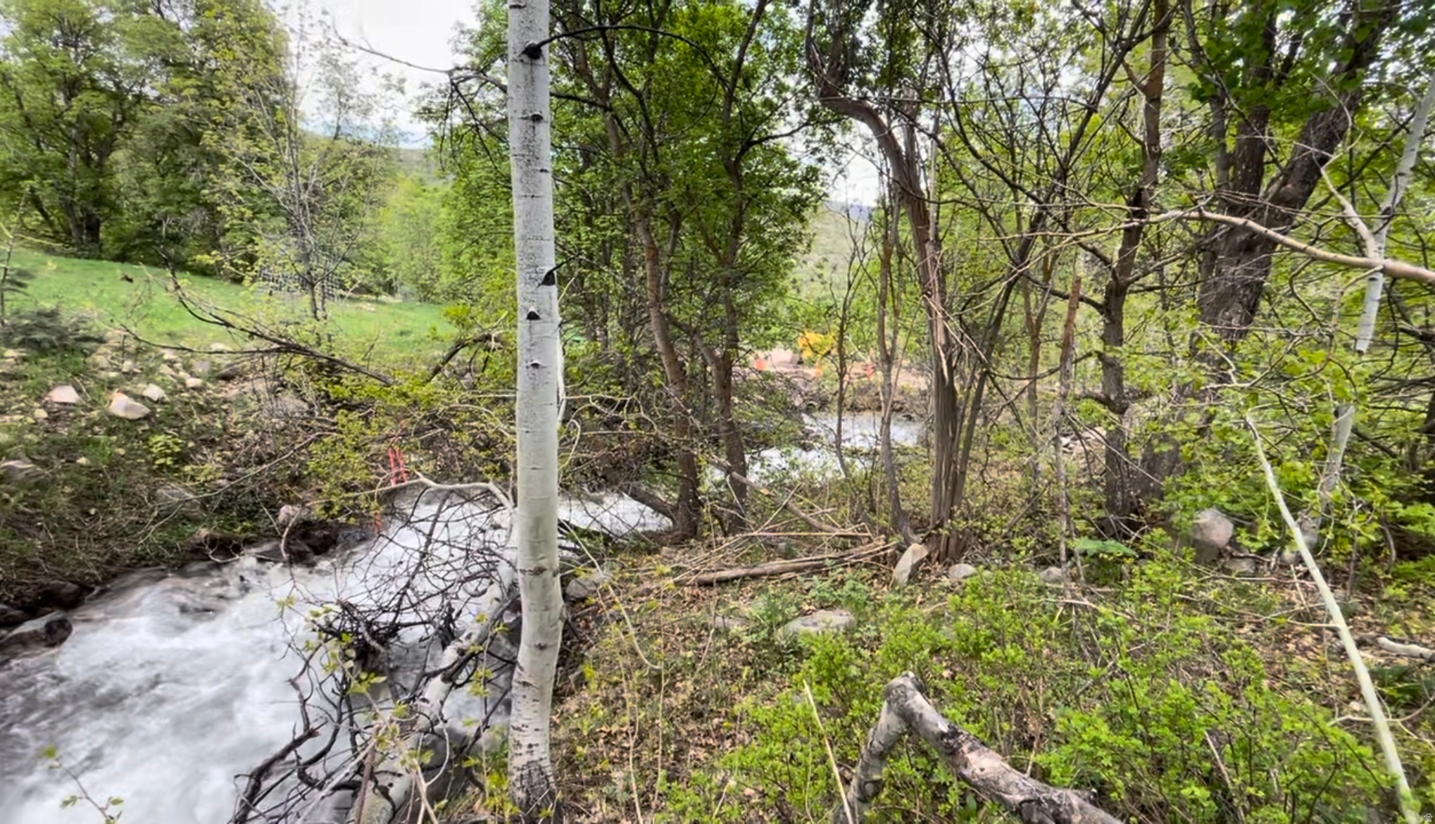UPPER WHITTEMORE - Land