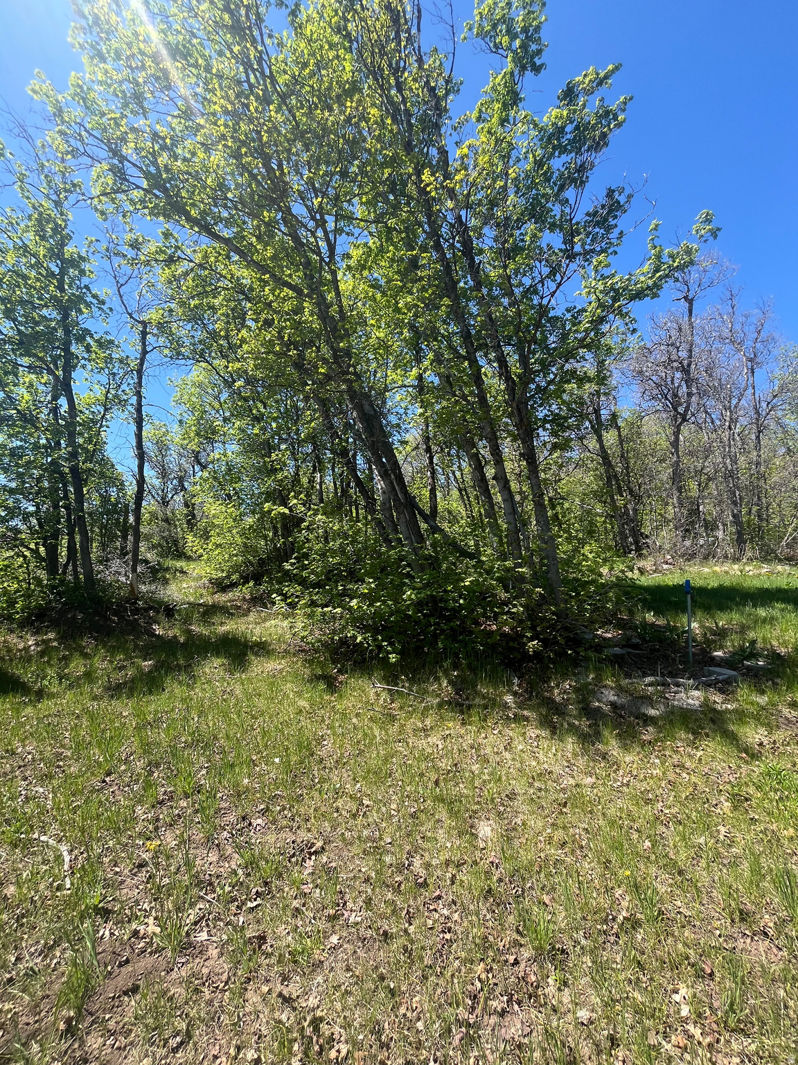 UPPER WHITTEMORE - Land