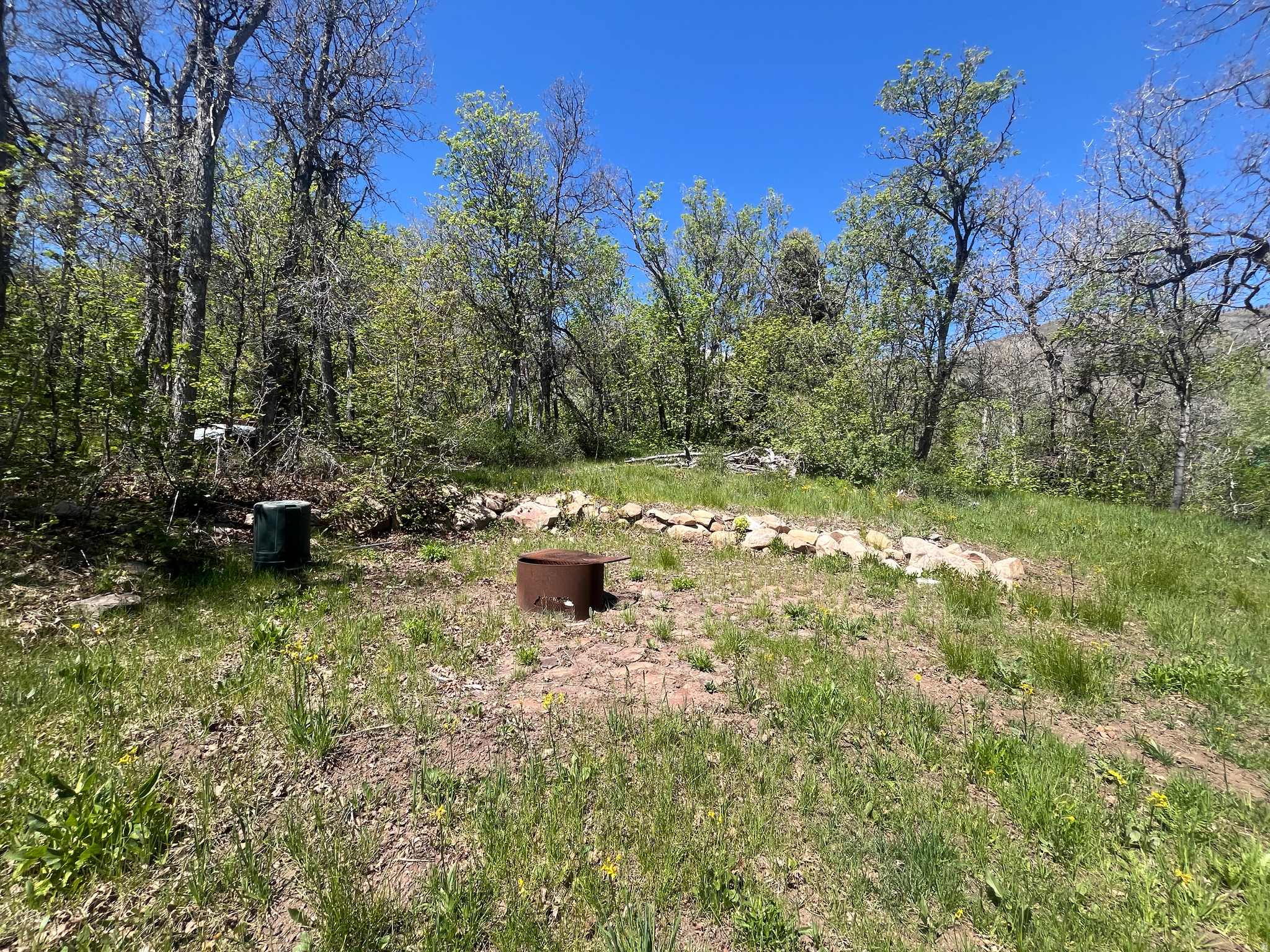 UPPER WHITTEMORE - Land