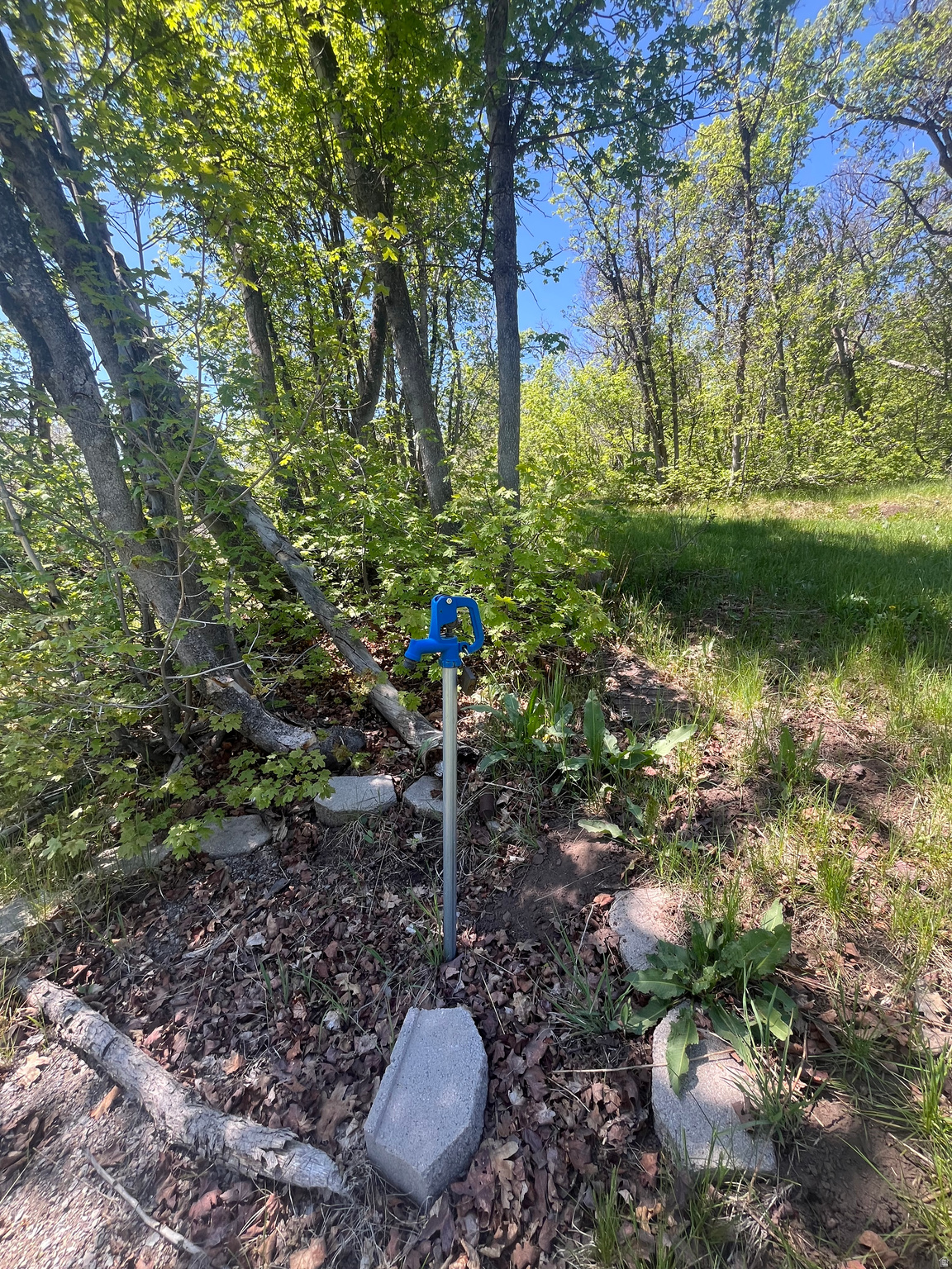 UPPER WHITTEMORE - Land