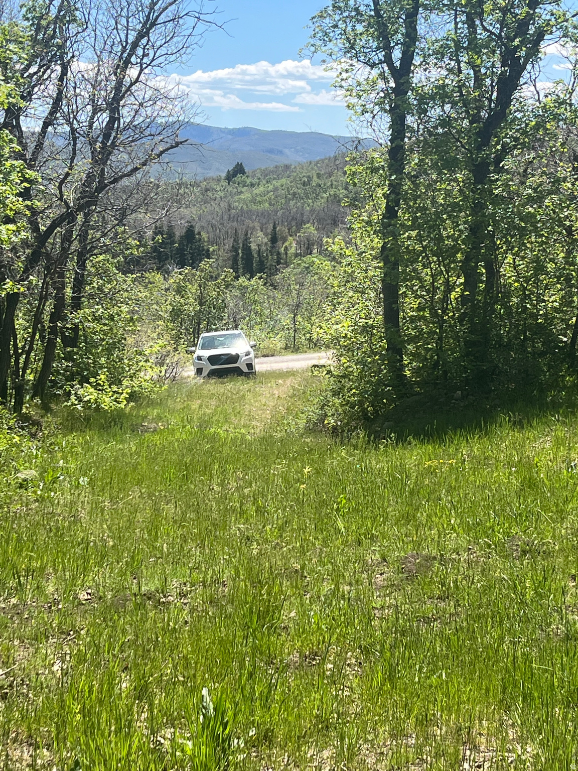 UPPER WHITTEMORE - Land
