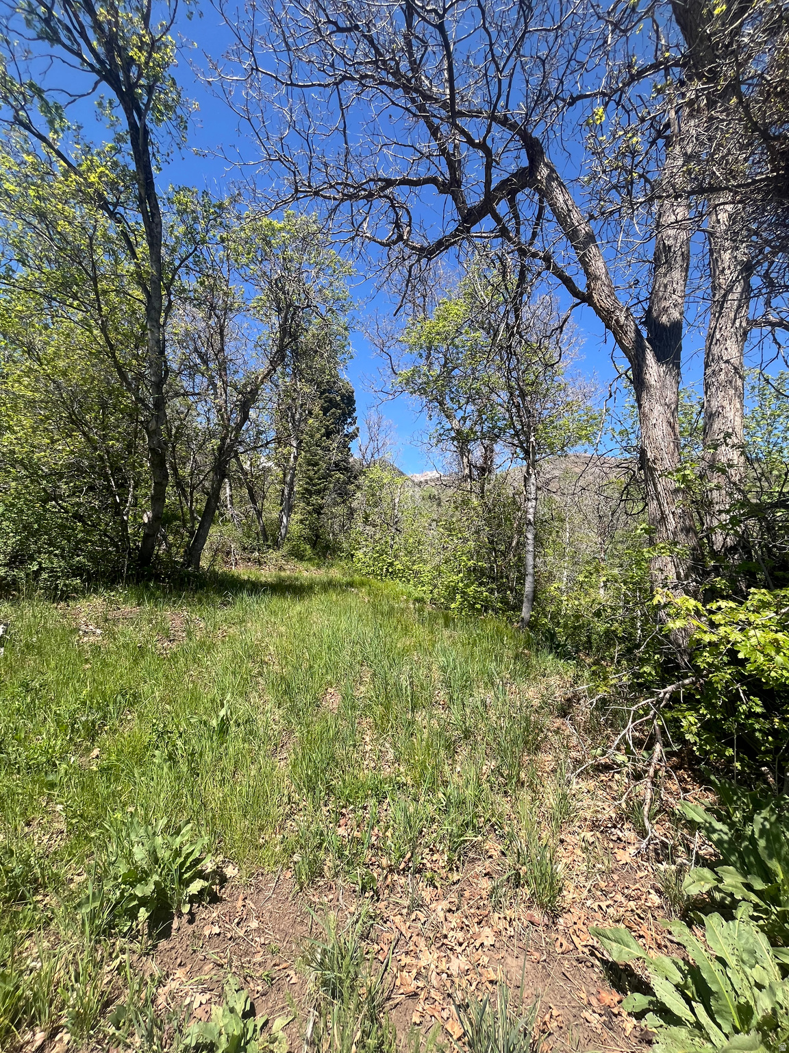 UPPER WHITTEMORE - Land