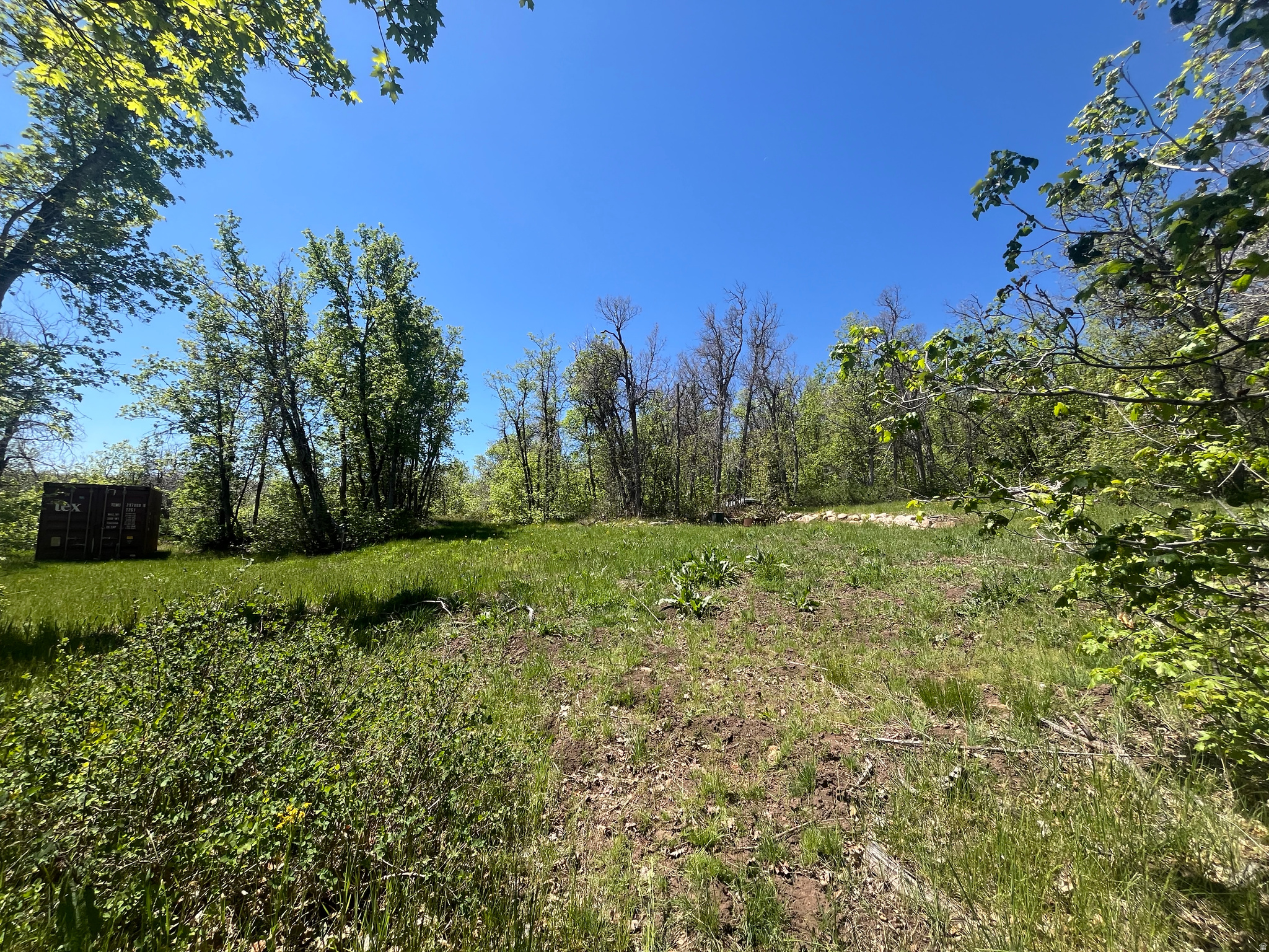 UPPER WHITTEMORE - Land