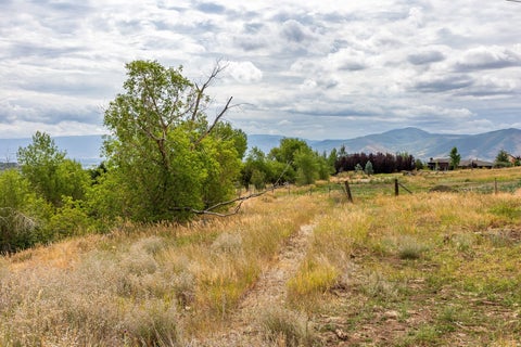 Tiny photo for 950 SWISS ALPINE RD, Midway, UT 84049 (MLS # 2180800)