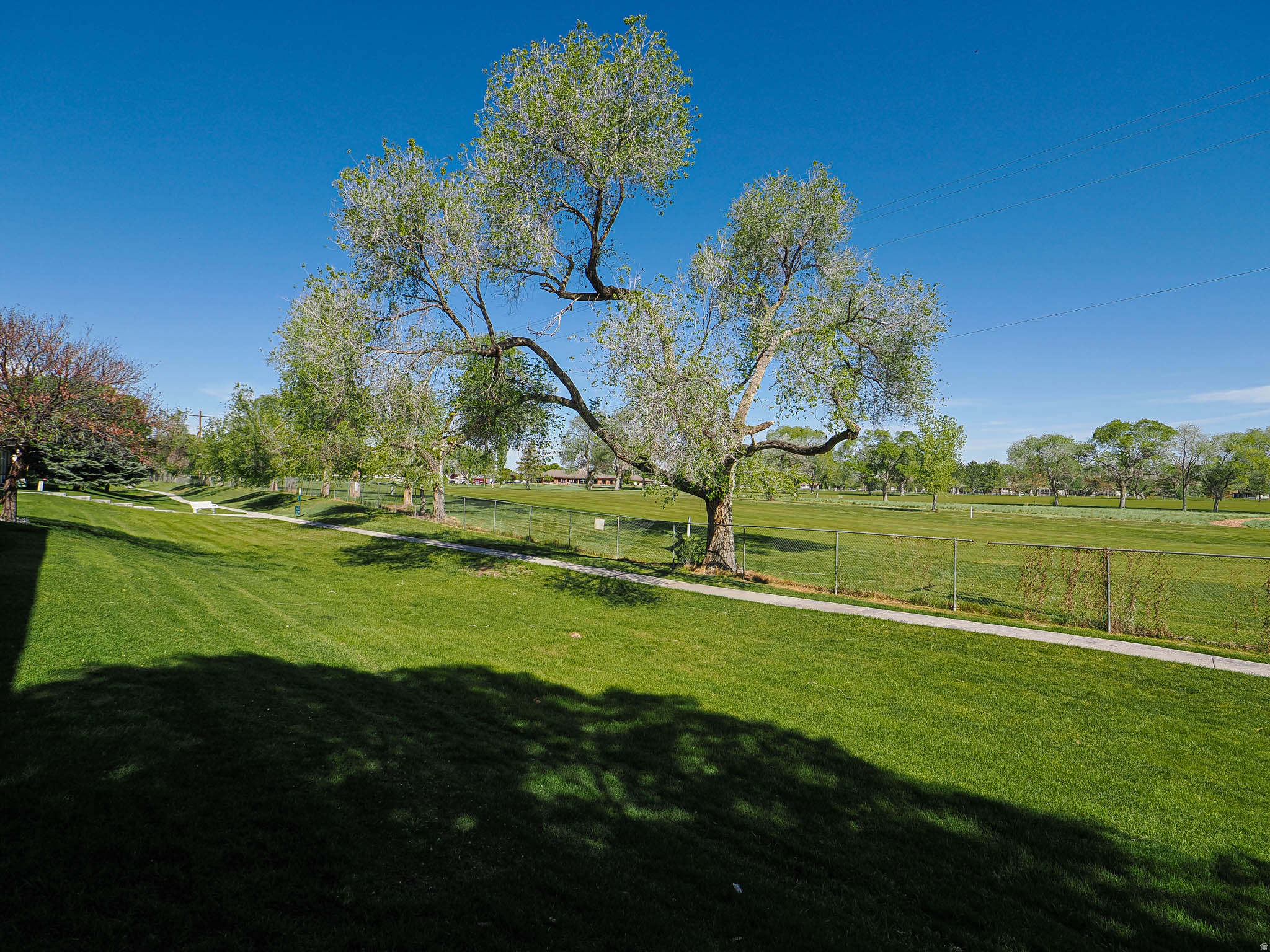 BARRINGTON PARK - Residential