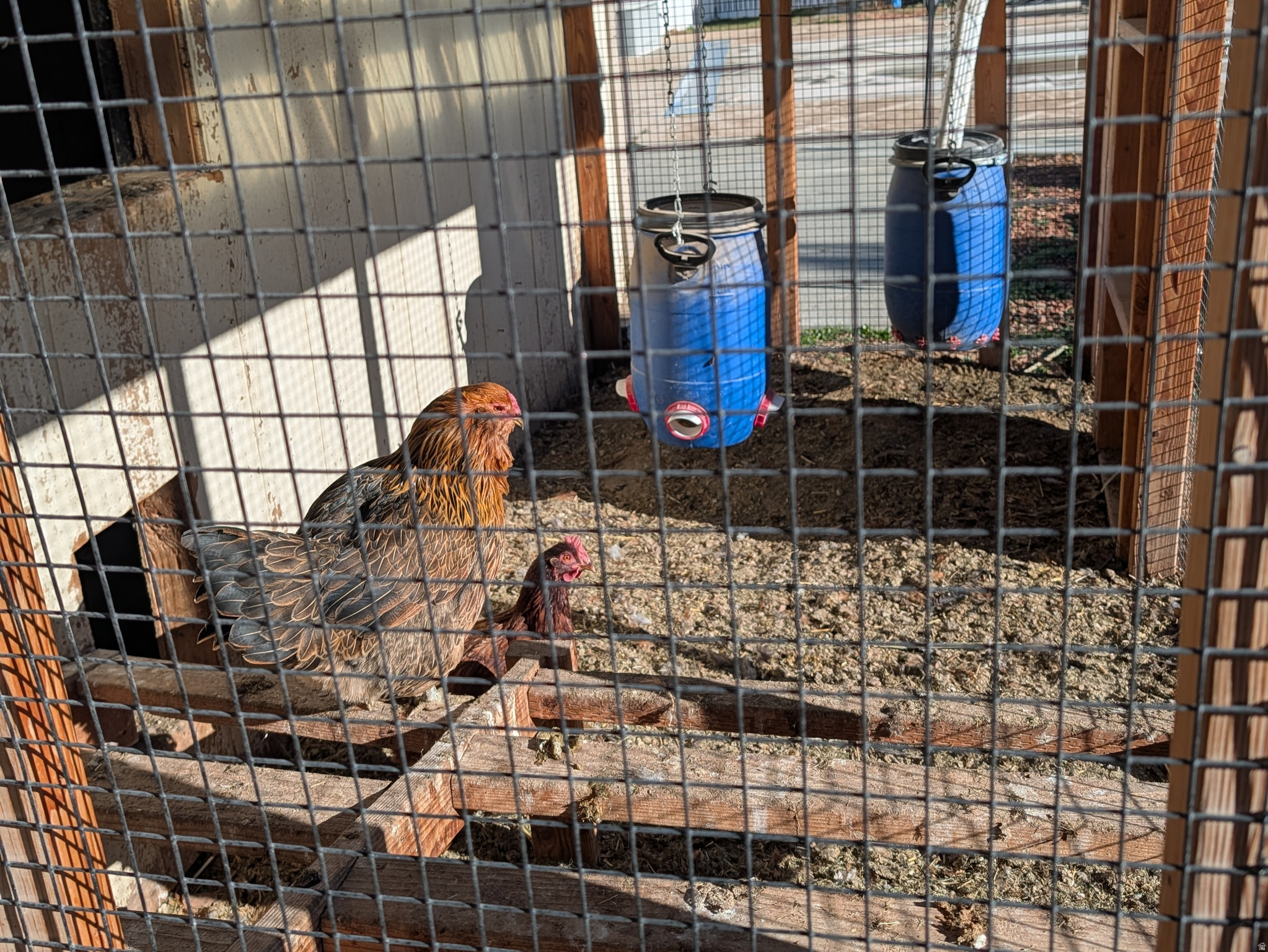 ESTATES AT ROSECREEK - Residential