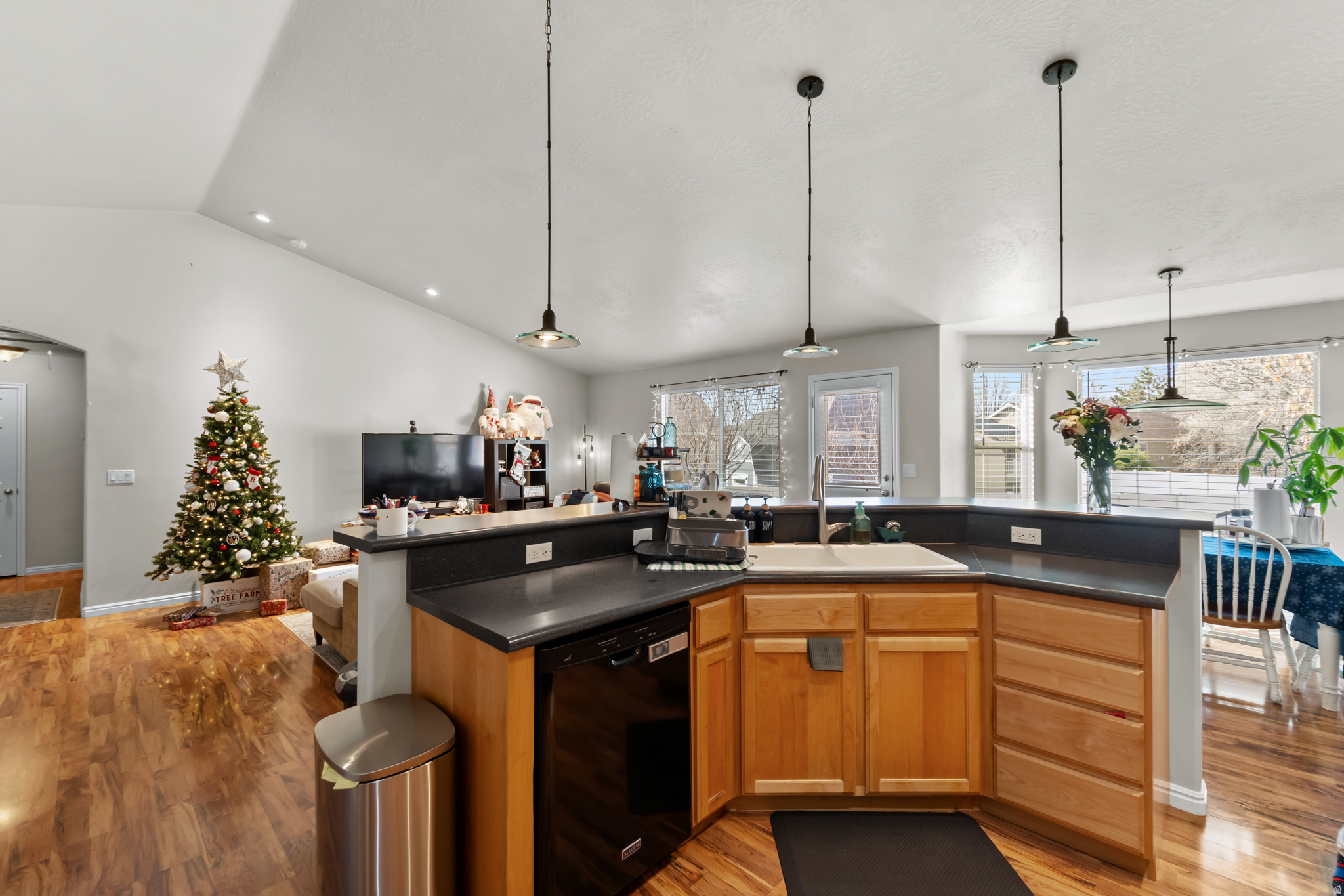 CANYON VIEW ESTATES - Residential