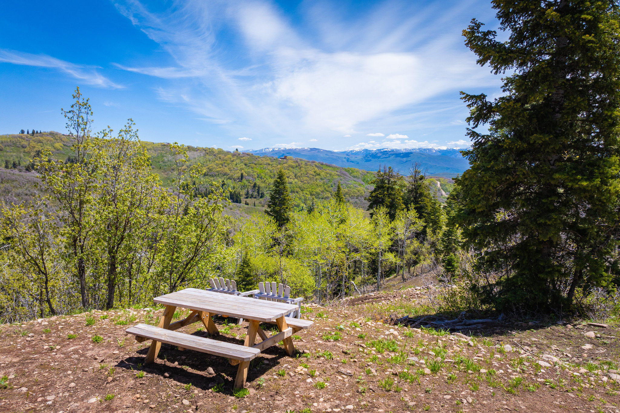PINE MEADOW RANCH - Residential