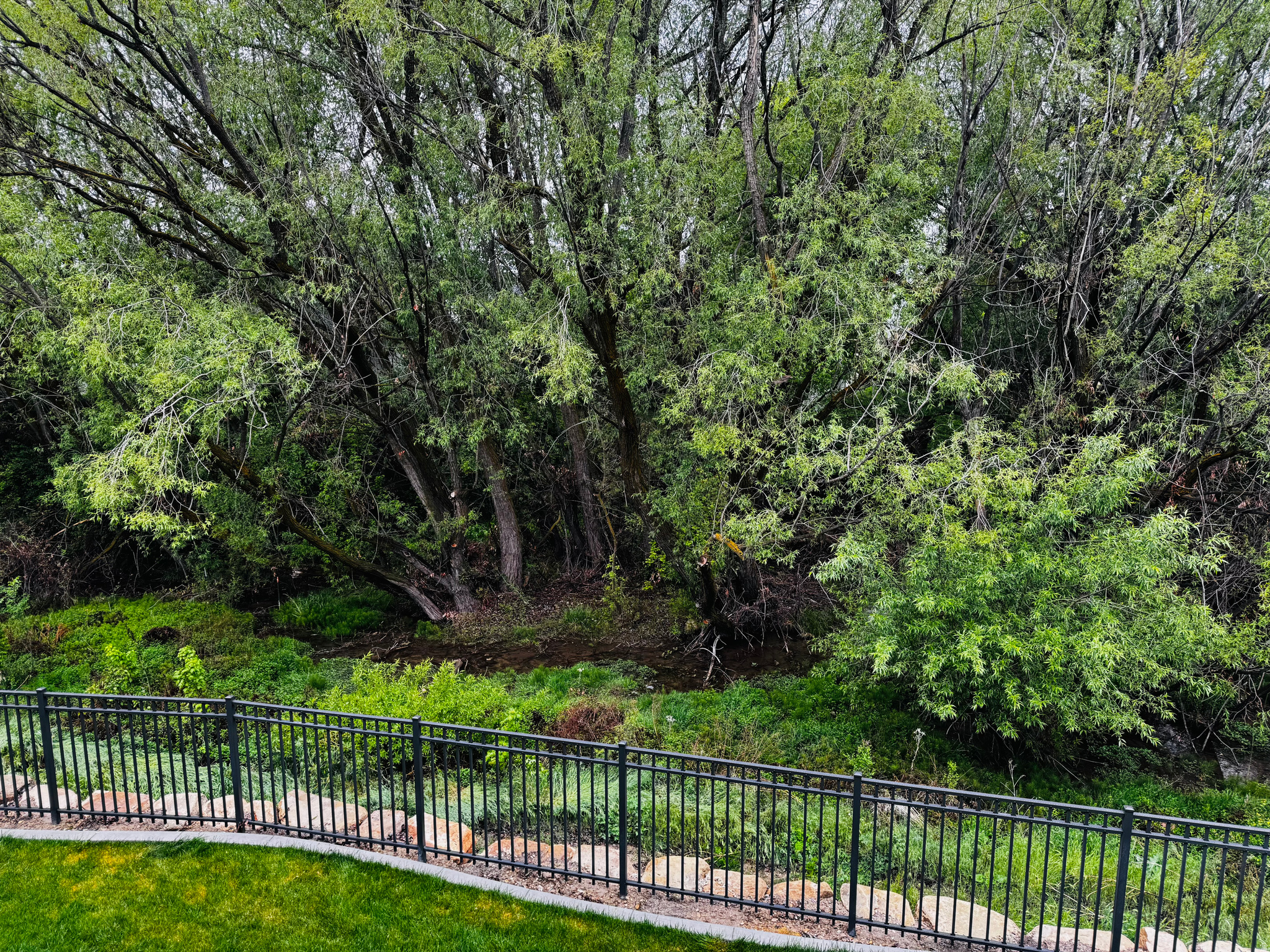 GREENWOOD CREEK - Residential