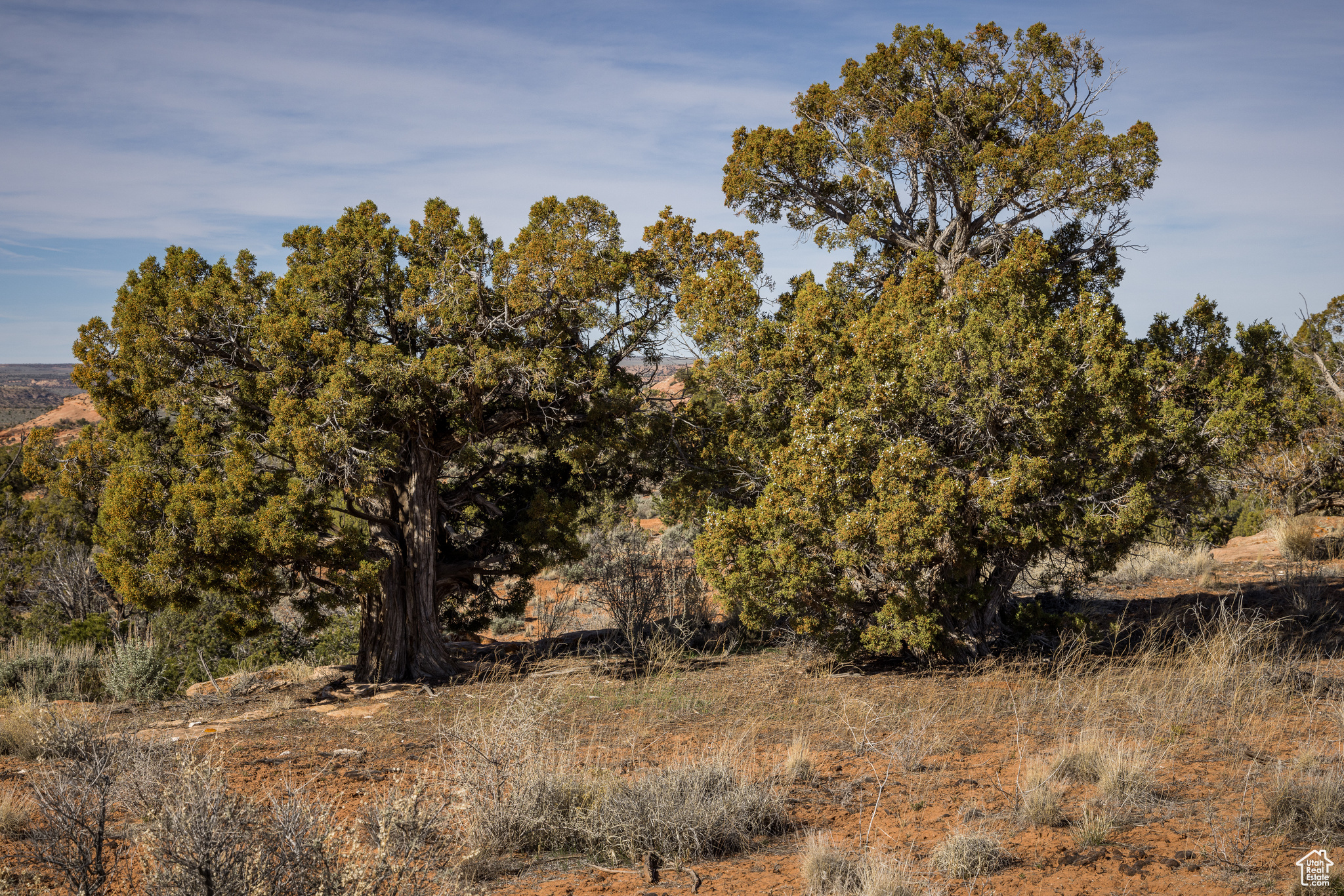 117 Flat Iron Mesa Rd #46, Moab, Utah image 28