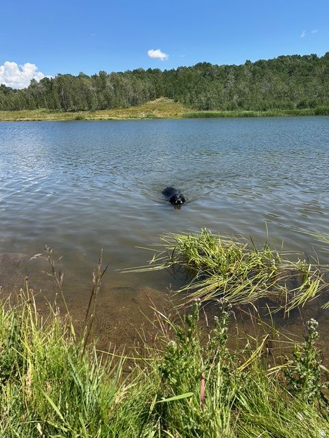 Tiny photo for 5762 N ASPEN WAY #20, Huntsville, UT 84317 (MLS # 2121032)