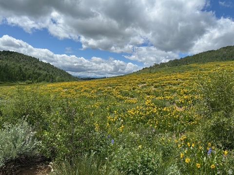 Tiny photo for 5762 N ASPEN WAY #20, Huntsville, UT 84317 (MLS # 2121032)