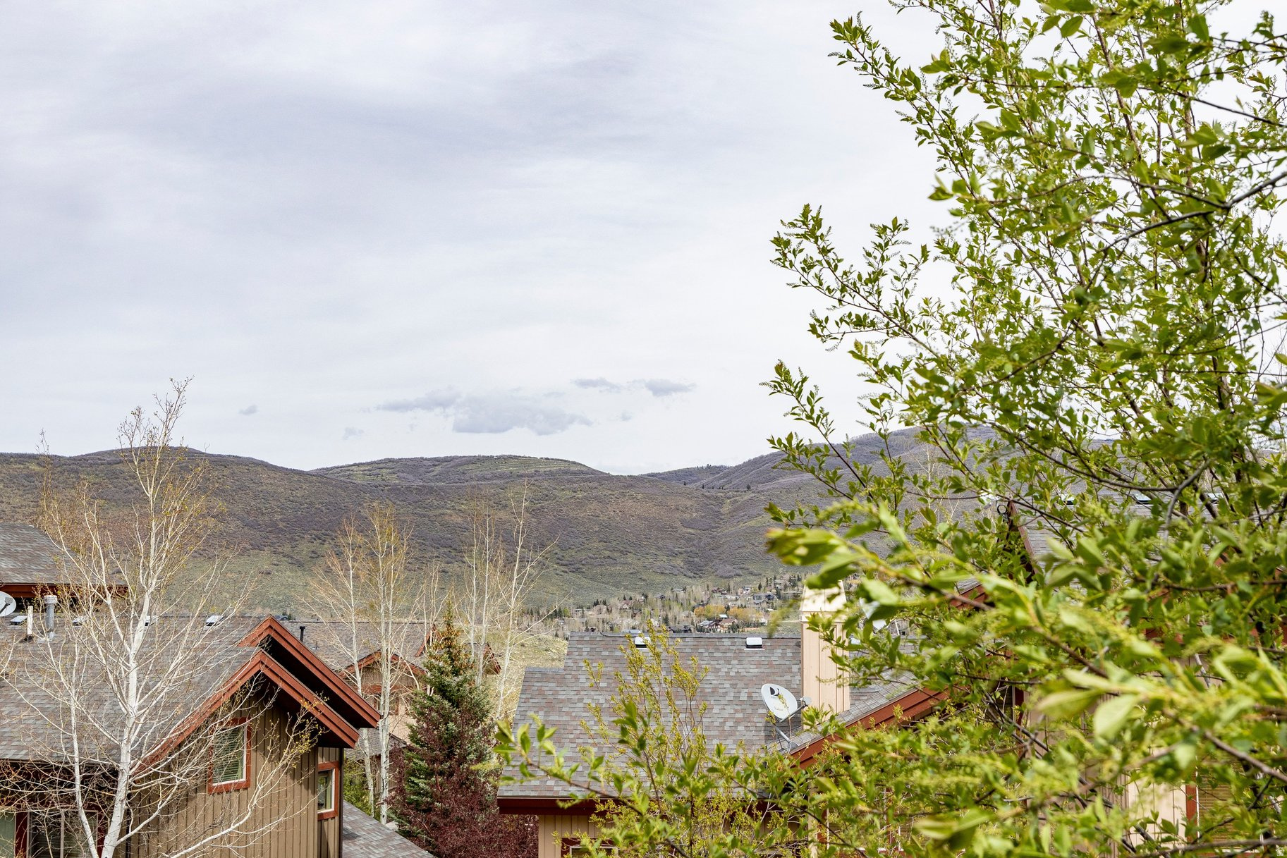 CEDAR RIDGE AT QUARR - Residential