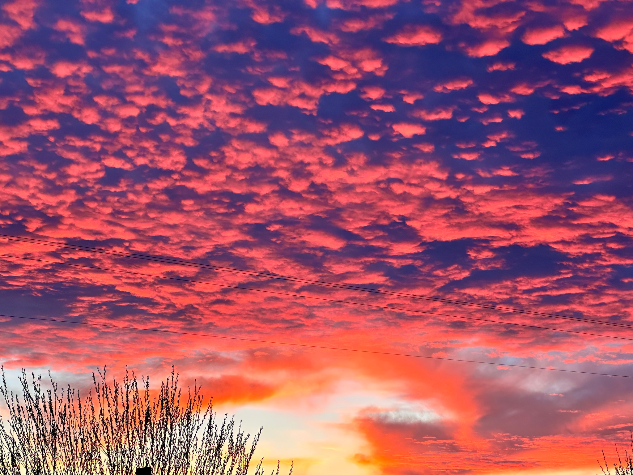 CANYONS EDGE - Residential