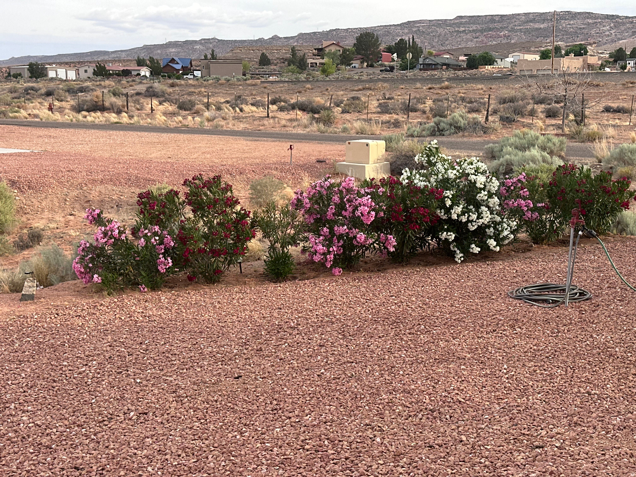 CANYONS EDGE - Residential