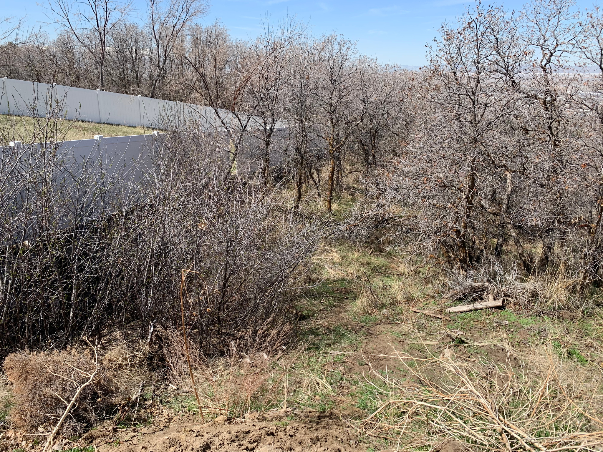 PLAT A NORTH CYN EST - Land