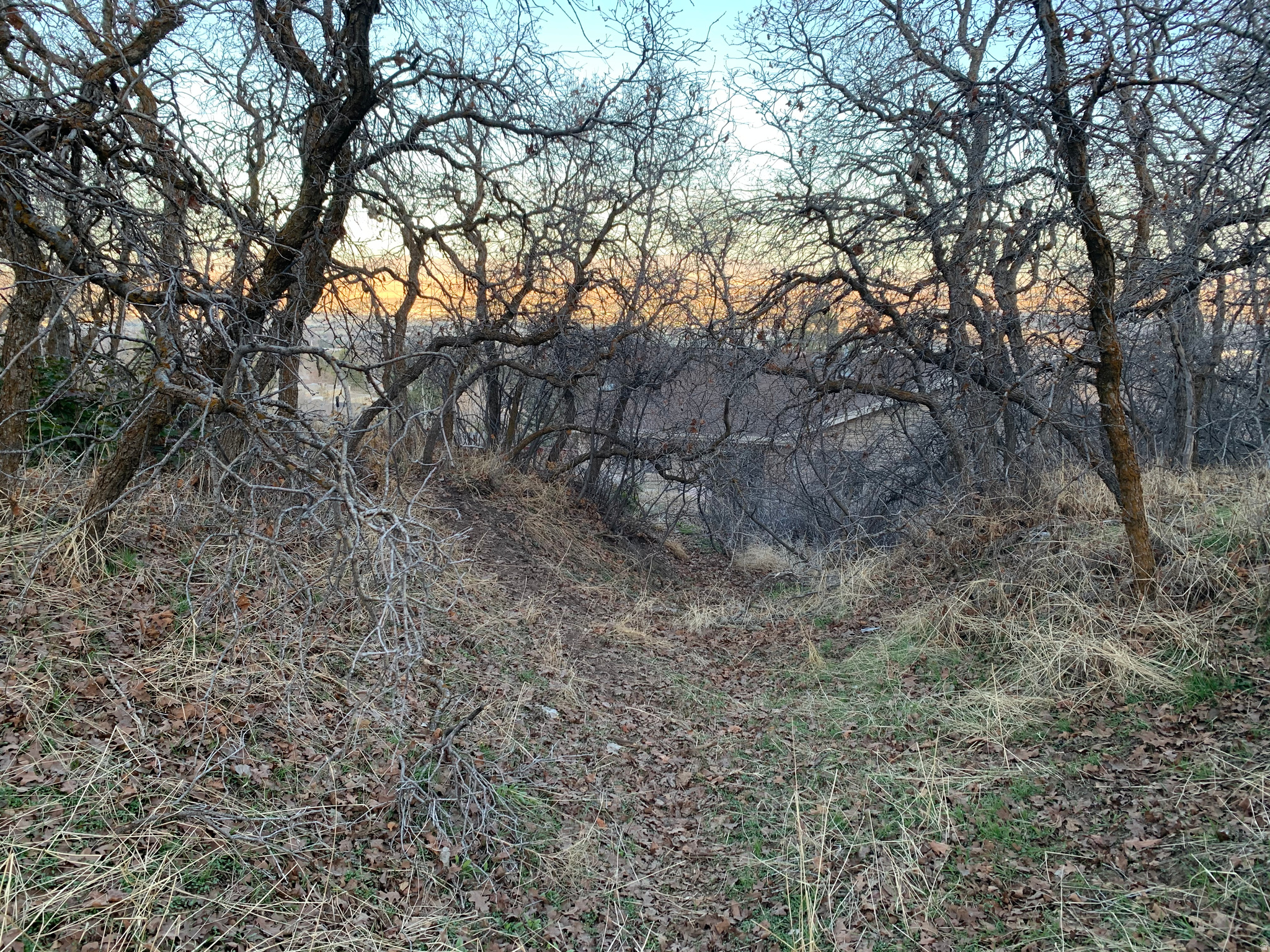 PLAT A NORTH CYN EST - Land