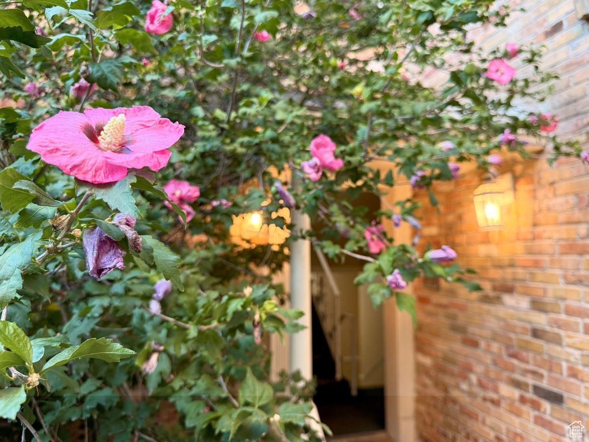 AIX LA CHAPELLE - Residential