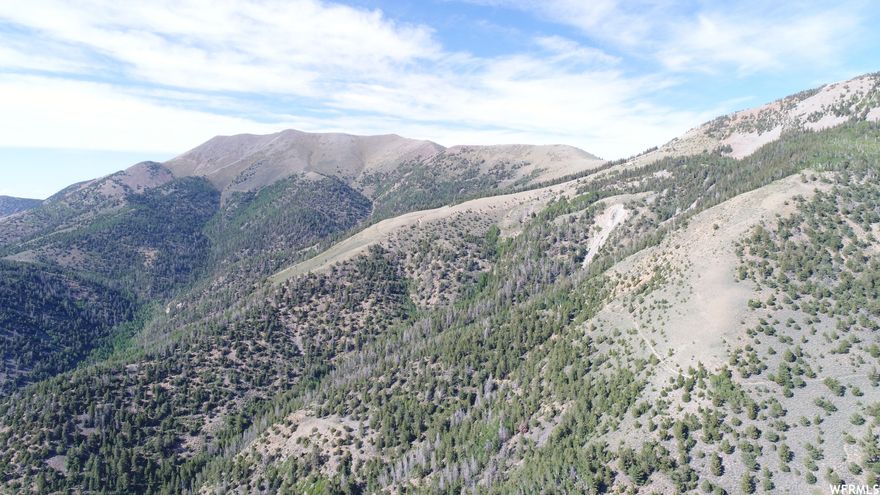 Welcome to this pristine mountain property, boasting some of the world's most impressive deer hunting. This beautiful land is just three miles from McMillan Springs Campground, and offers access to hundreds of miles of ATV, snowmobiling, horse, and hiking trails. Star gazing is absolutely breathtaking in this remote and peaceful location. The land is unspoiled and natural, with incredible opportunities for hunting, camping, and outdoor adventure. Wildlife is abundant and includes world record buck, making this a true paradise for hunting enthusiasts. The property offers a secluded and private retreat, where you can escape from the hustle and bustle of city life and enjoy the serene beauty of nature. This is the perfect place to build your own personal getaway. Don't miss your chance to own this unique and breathtaking piece of mountain paradise. Please note that some photos are not taken directly from the land, and buyers should verify all information.