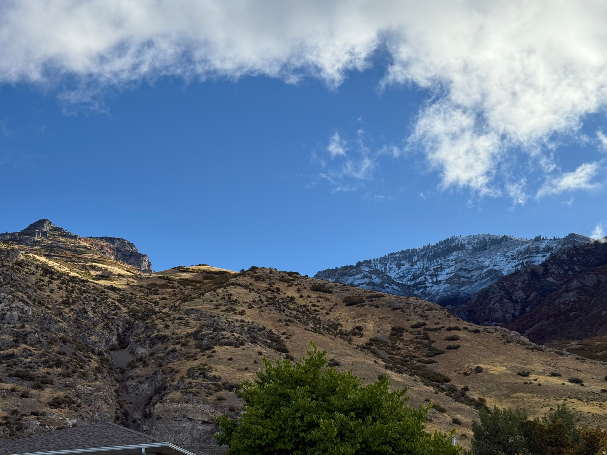 PROVOST SOUTH - Residential