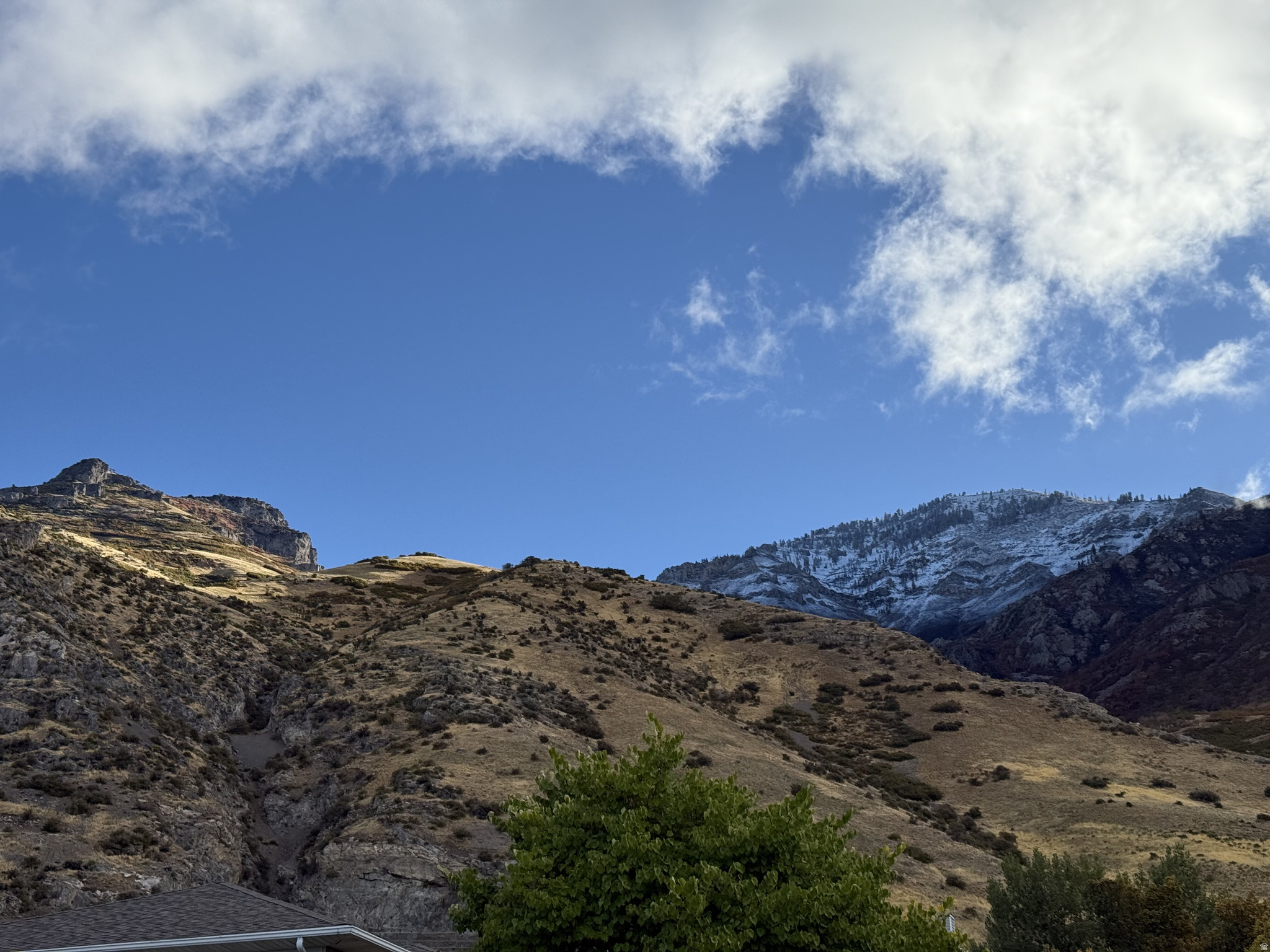 PROVOST SOUTH - Residential