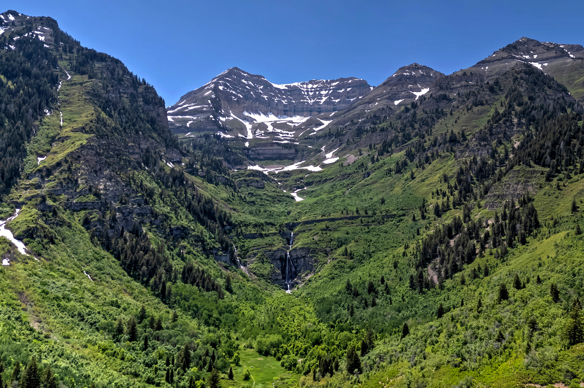 STEWART - Residential