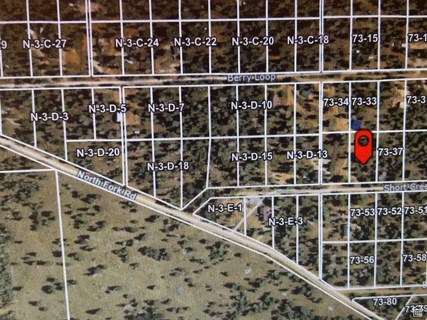 This half acre lot is mostly flat and clear of trees to build your cabin, house or park your RV. Just the right spot to enjoy nature, wild life, fresh air, fishing nearby at Navajo Lake and Duck Creek and star gazing.  Places nearby are Panguitch Lake, Brian Head and Cedar City. Access is seasonal. Haul water to your water tank, septic is allowed and generator/solar/propane are the best options for power. No HOA.