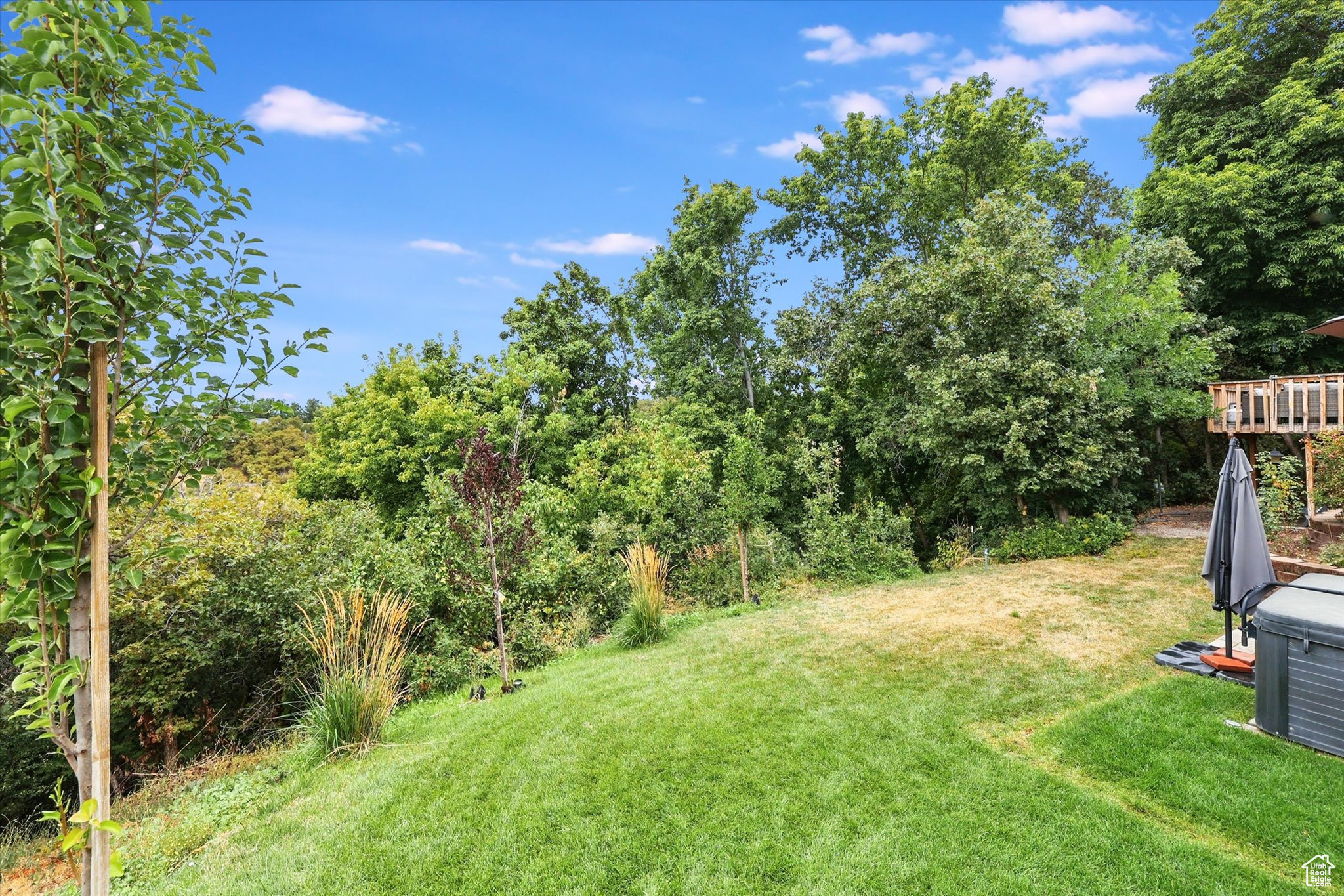 FERNWOOD HOLLOW #6 - Residential