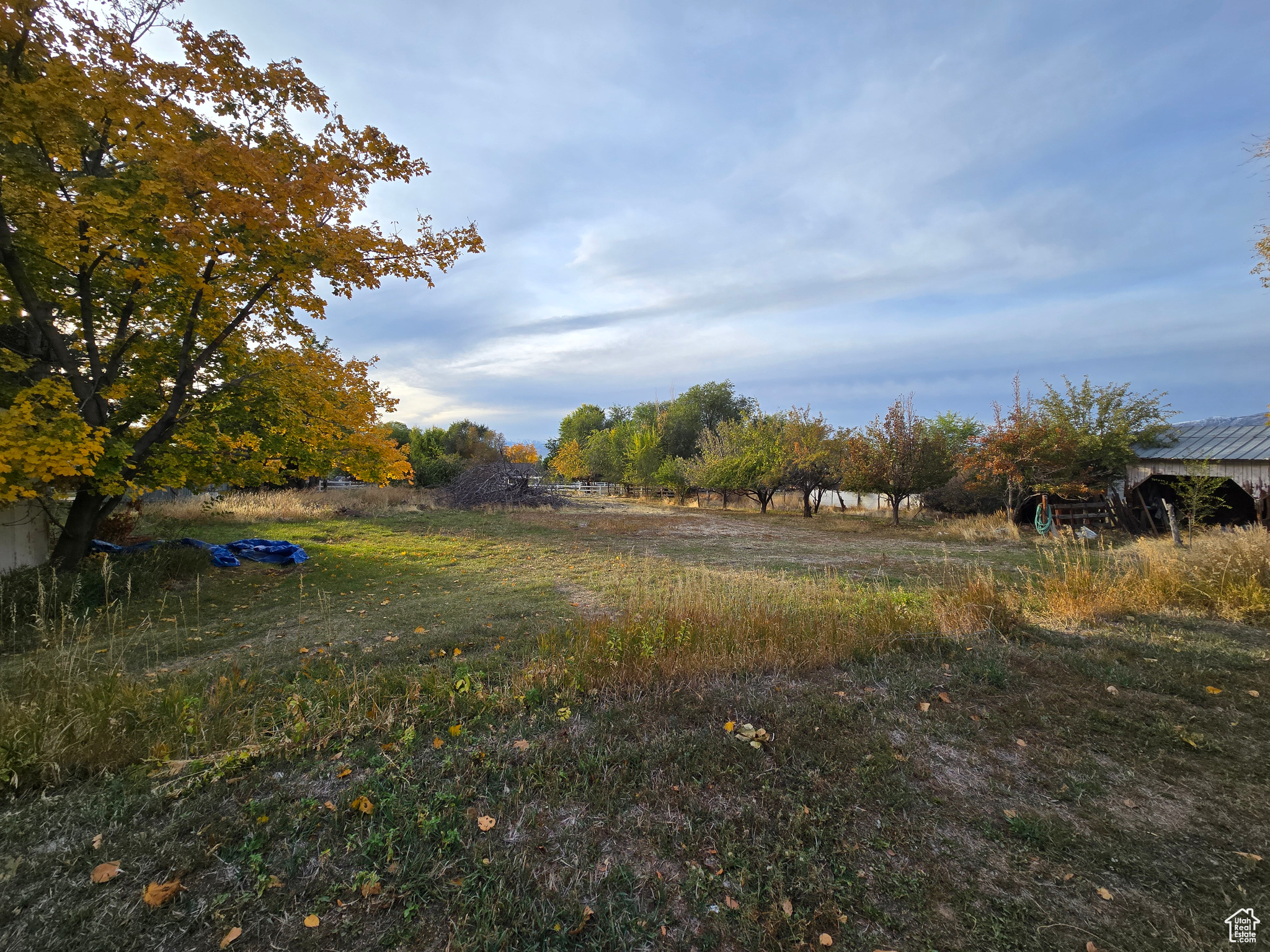 557 E 500 #2, Pleasant Grove, Utah image 4