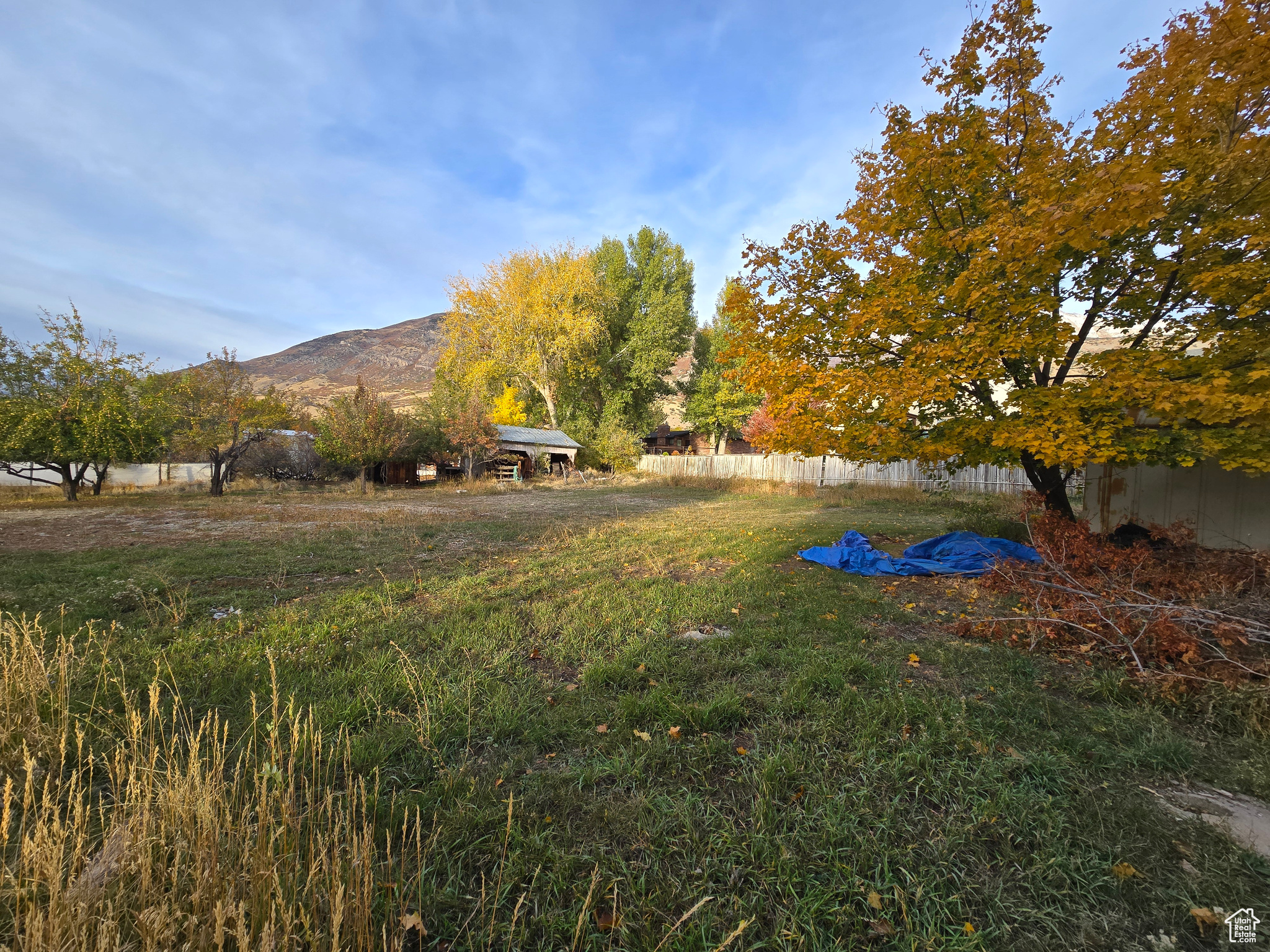 557 E 500 #2, Pleasant Grove, Utah image 3