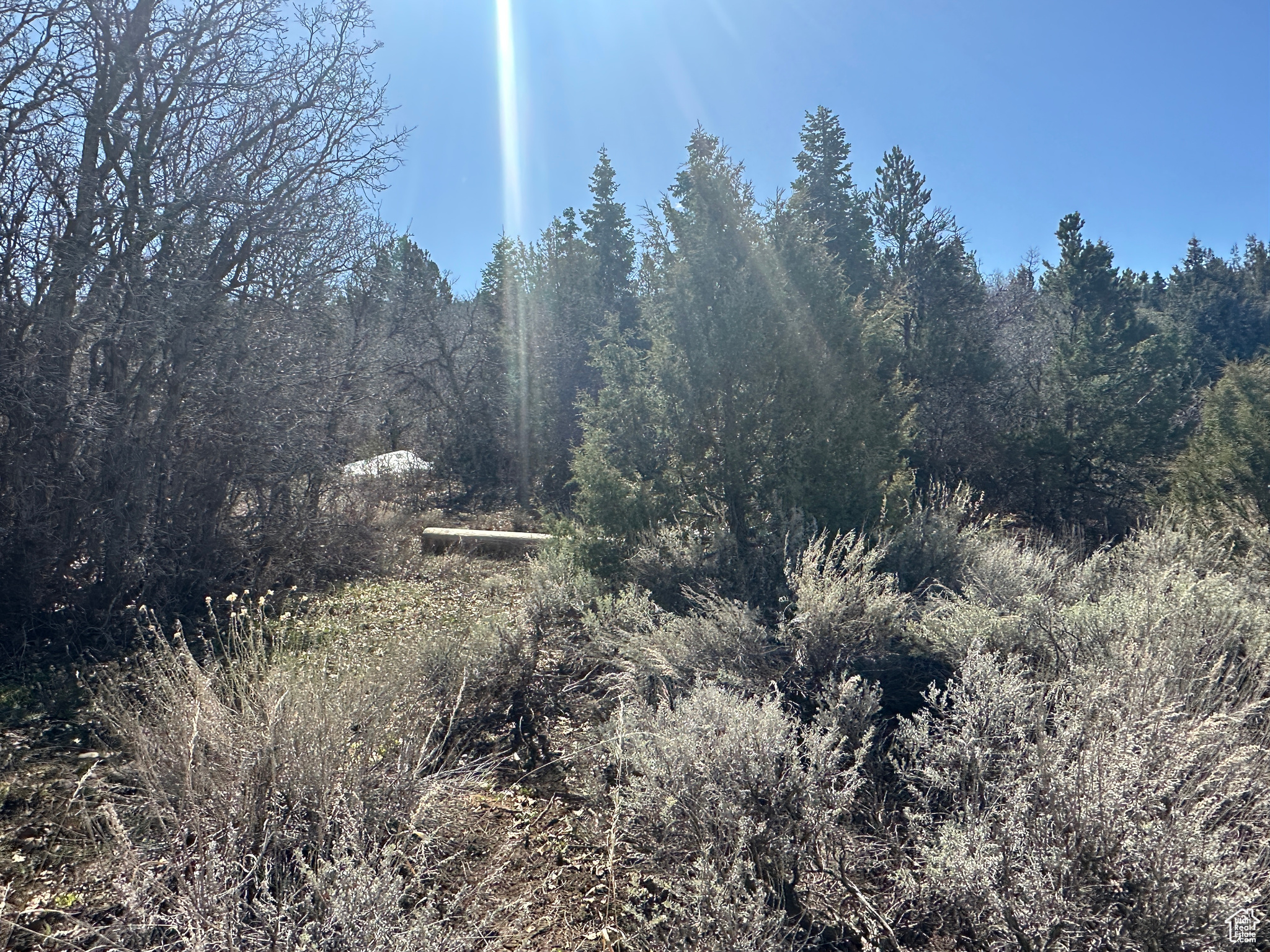 149 Meadow Rd #149, Mt Pleasant, Utah image 22