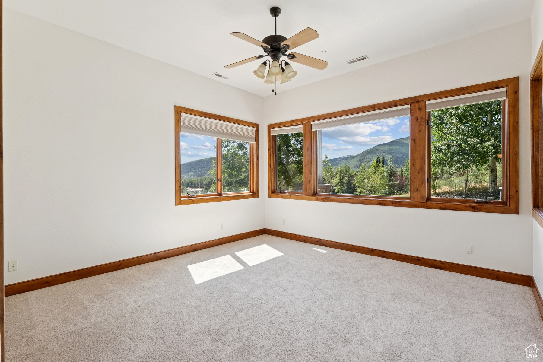 MAHAGONY HILLS SUBDIVISION - Residential