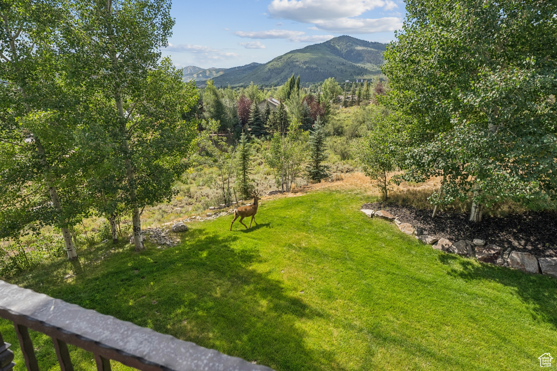 MAHAGONY HILLS SUBDIVISION - Residential