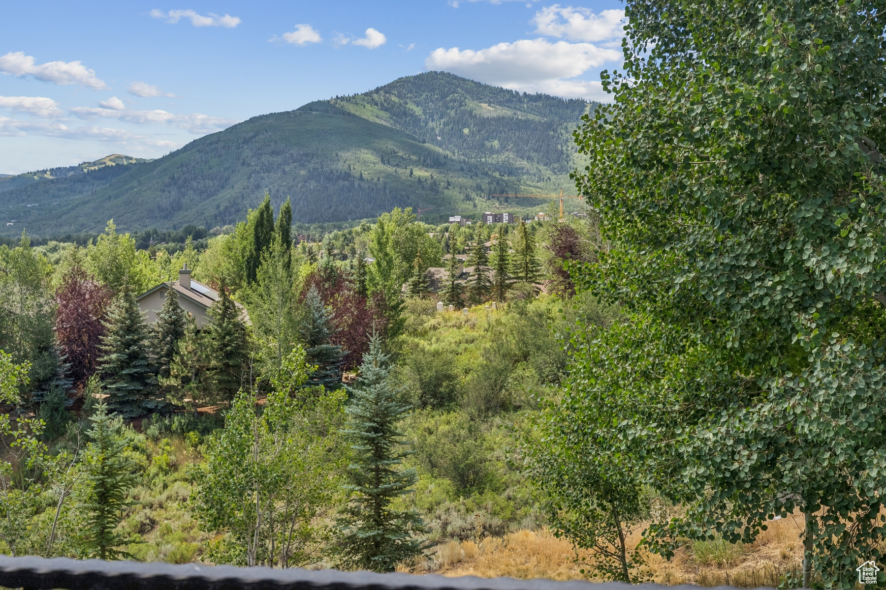 MAHAGONY HILLS SUBDIVISION - Residential