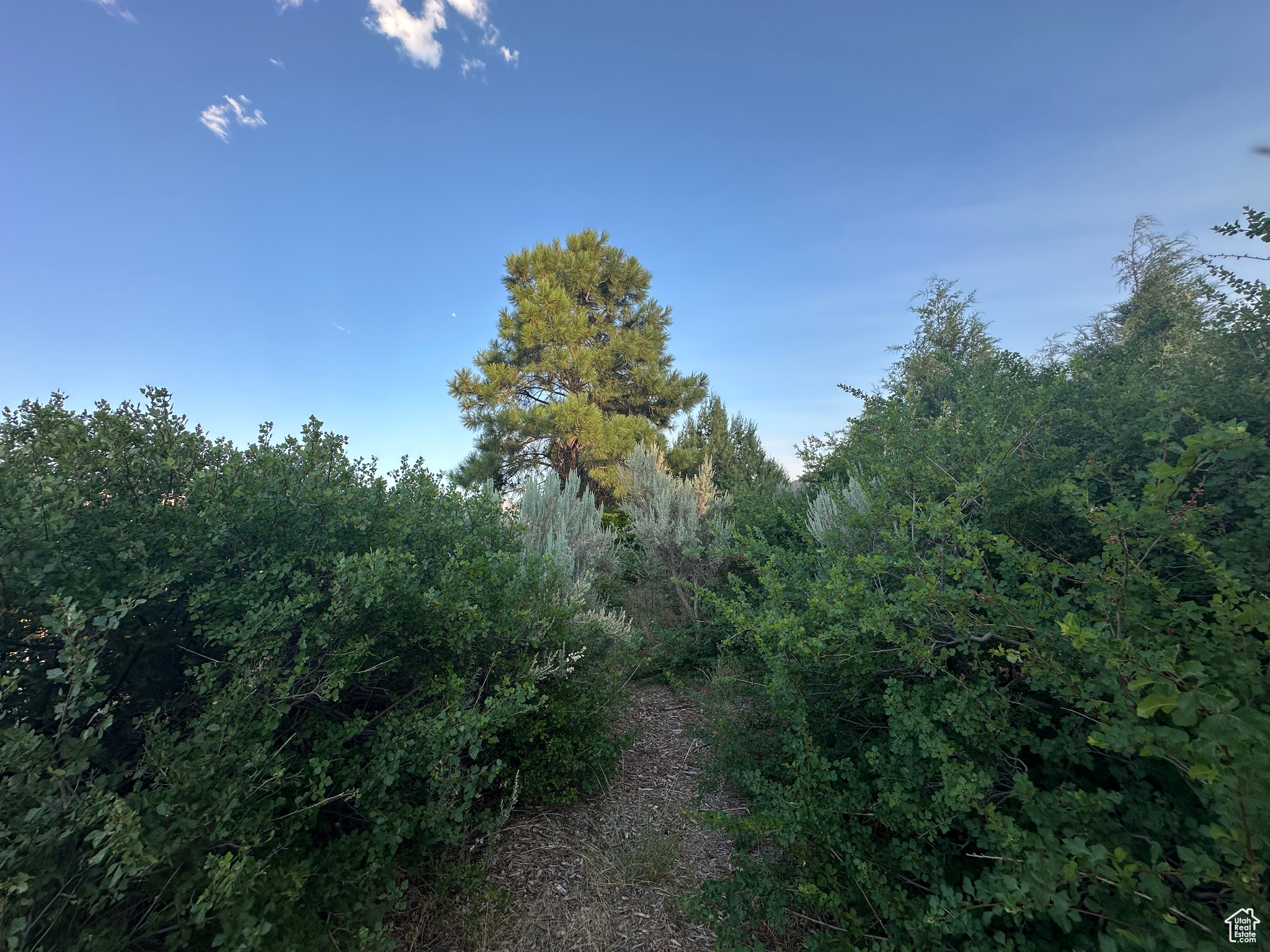 CASTLE VALLEY RIVER RANCHOS - Residential