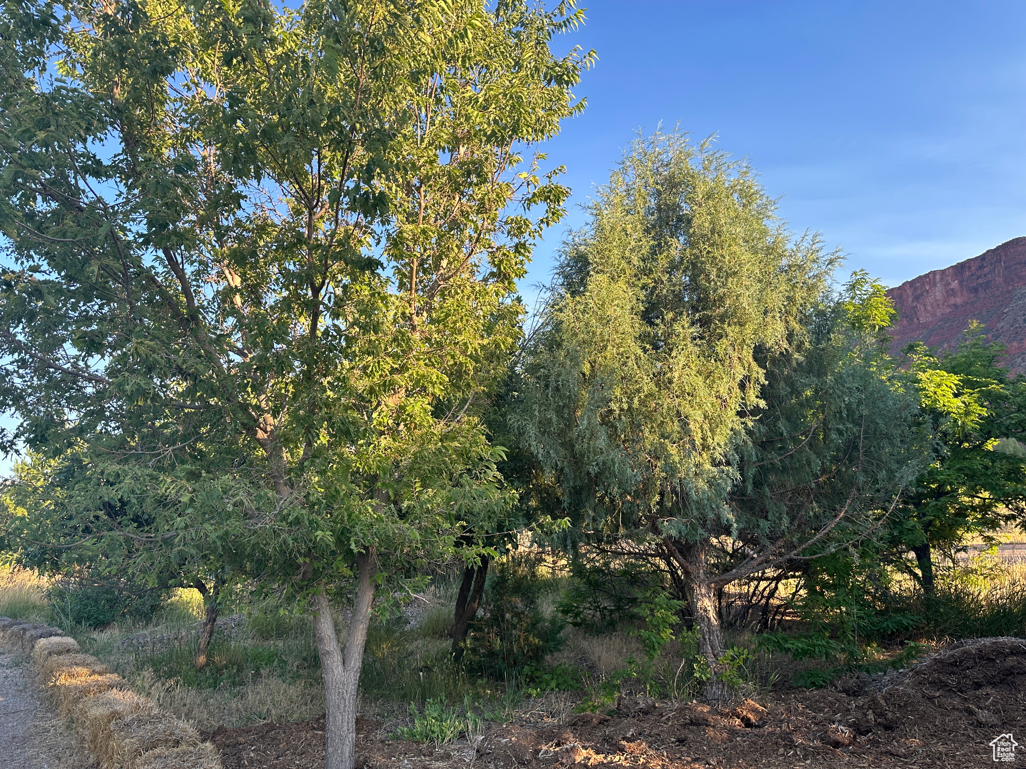 CASTLE VALLEY RIVER RANCHOS - Residential