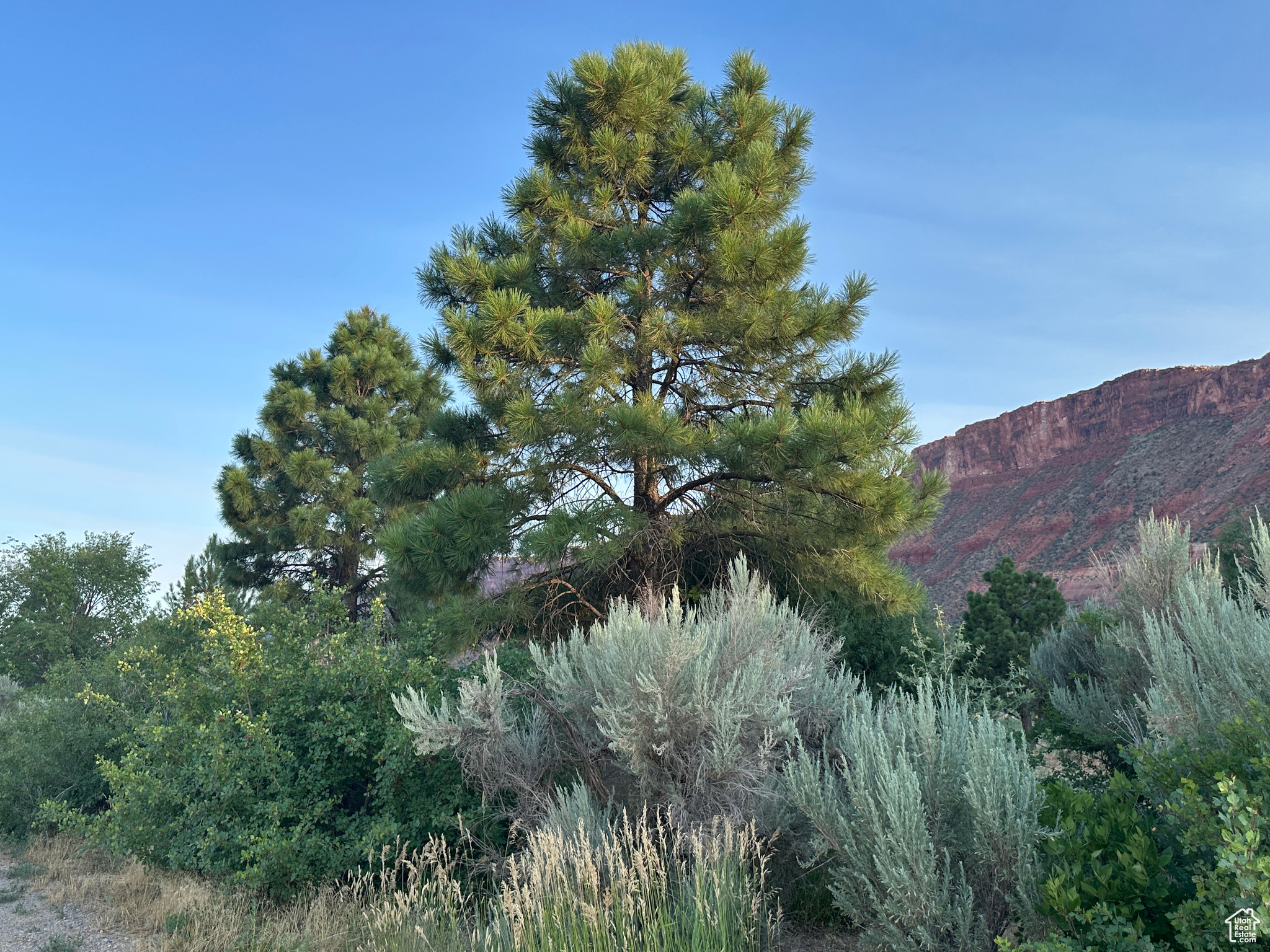 CASTLE VALLEY RIVER RANCHOS - Residential