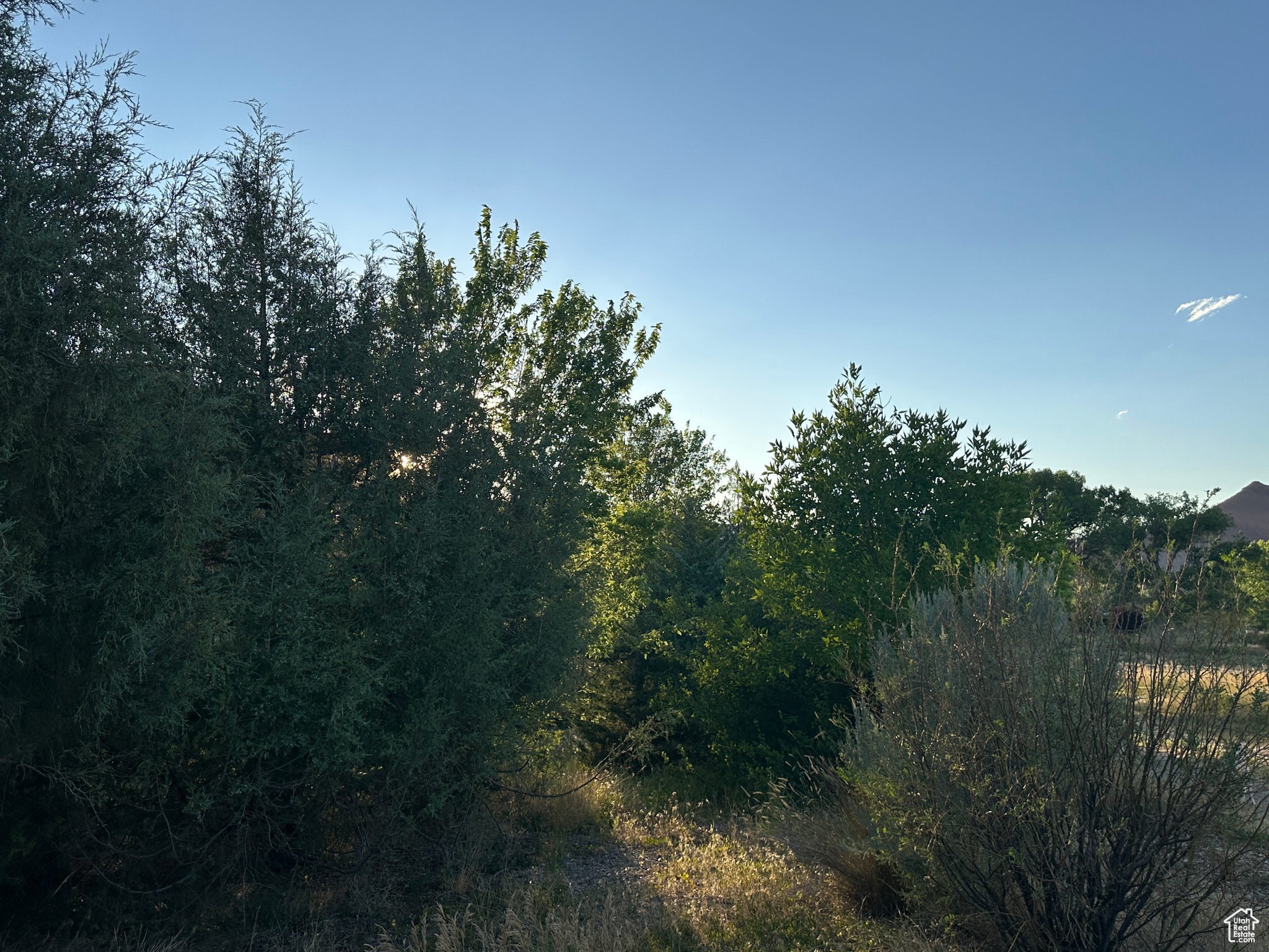 CASTLE VALLEY RIVER RANCHOS - Residential