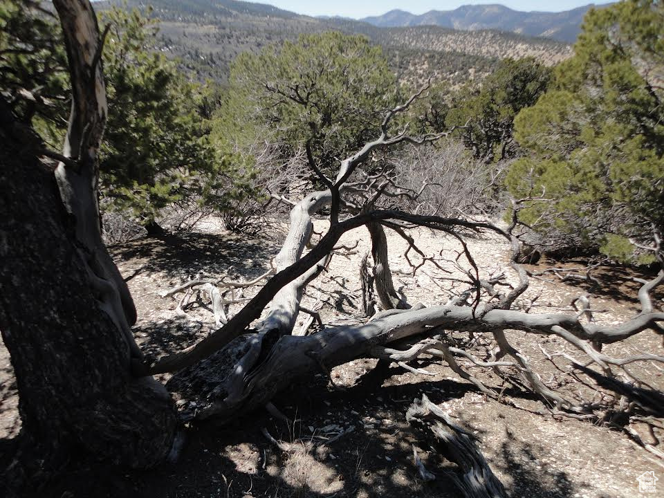 Land, Duchesne, Utah image 18