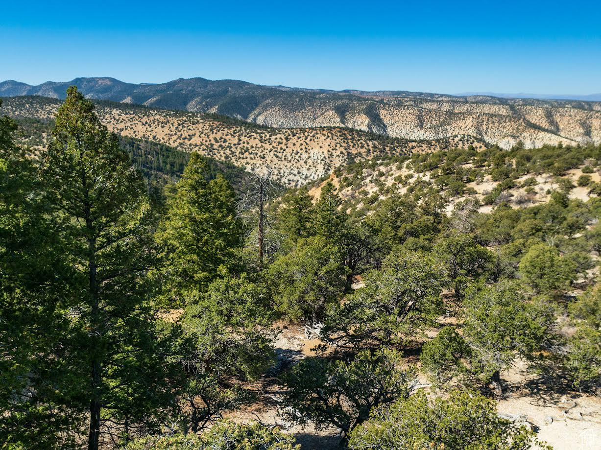 Land, Duchesne, Utah image 8