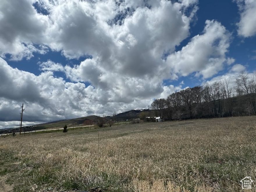 Great Commercial Location, future planned projects on ajacent lots. Frontage is key to all inbound traffic for Garden City,