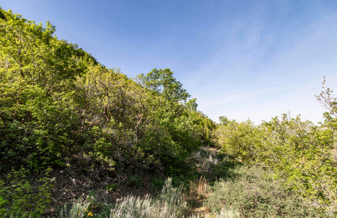 STANDEL COVE SUB - Land